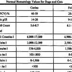 dog blood panel tests dog allergy